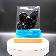 Load image into Gallery viewer, animals-loon-in-blue-water.jpg