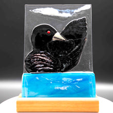 Load image into Gallery viewer, animals-loon-in-blue-water.jpg