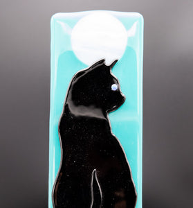 Animals - Black cat on turquoise background